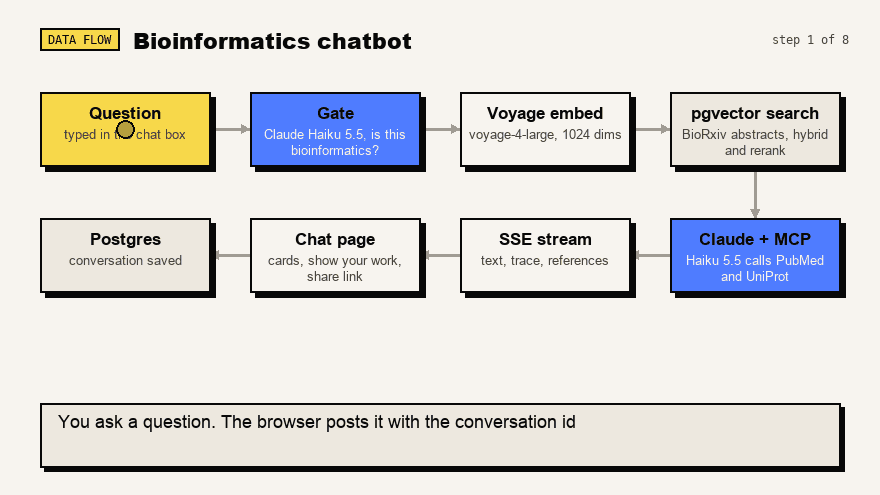 Animated diagram of the bioinfo agent, from the question to the saved conversation
