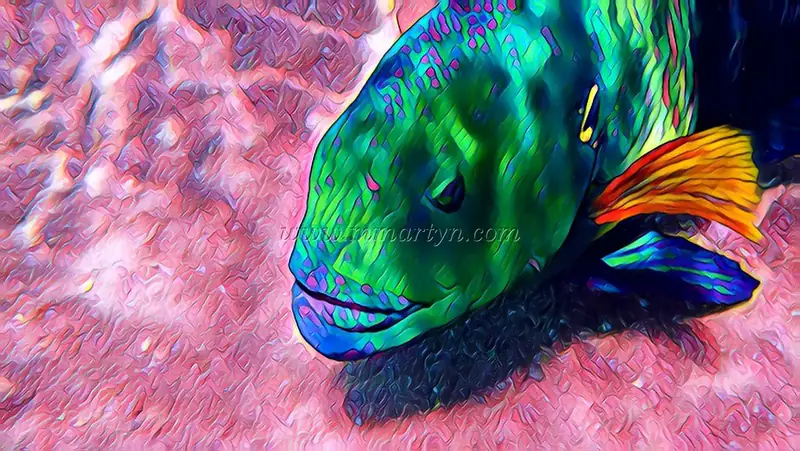 Fish, Israel